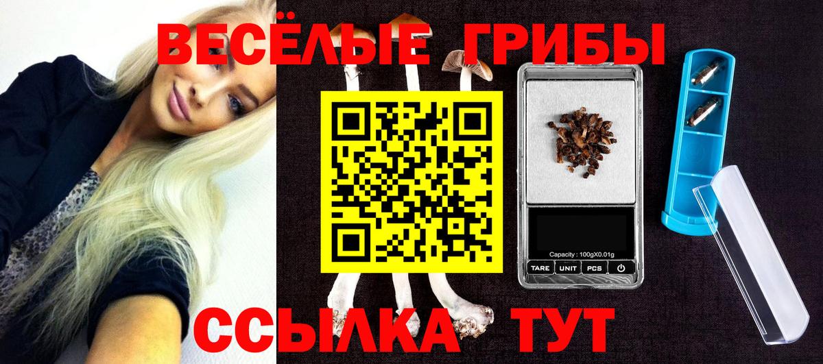 Нововоронеж  Псилоцибиновые грибы Psilocybe  купить   Вход с VPN 